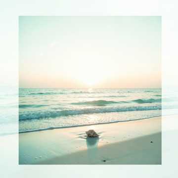 Tide Returns