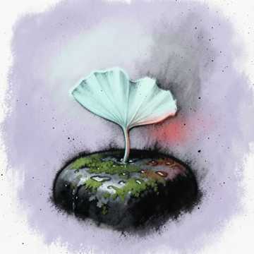 江南一场梧桐雨