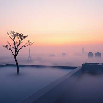 心安