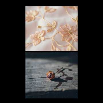 闺中十二绣-版本2