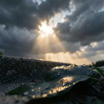 风雨后的曙光