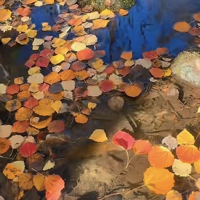 秋风念