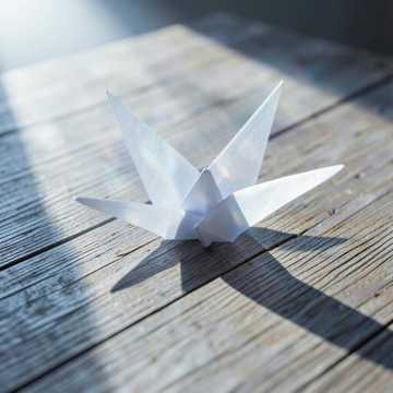 风与折光