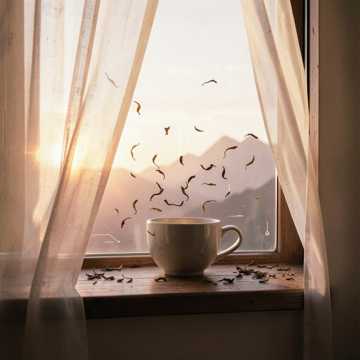 茶色山风