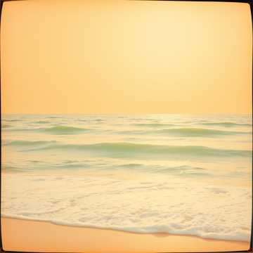 那年海边的夏天