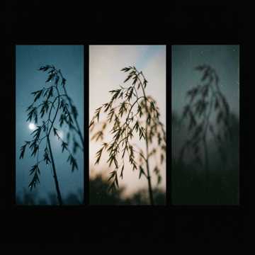 羽畔迟归-版本2