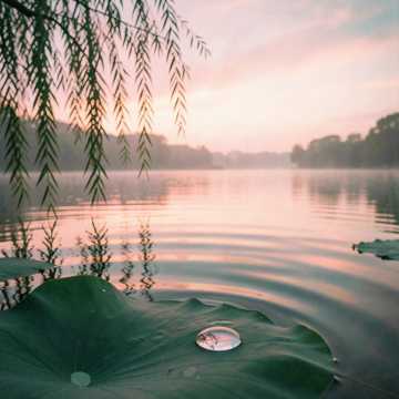 粉红色的西湖