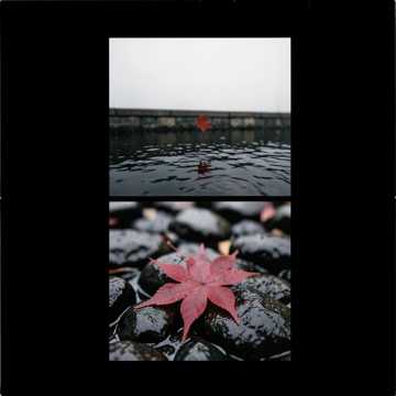 红叶渡