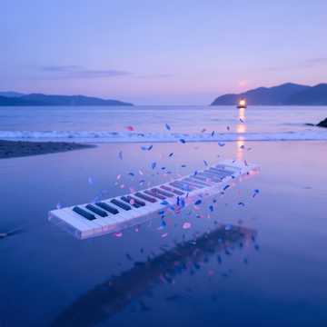 蓝花楹