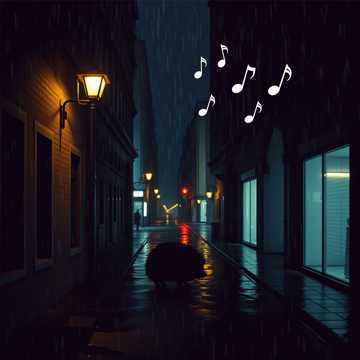 雨夜刺猬