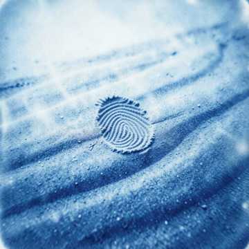 沙洲指纹