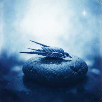 A Letter from the Moon