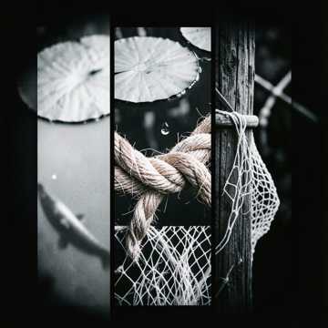 结网-版本2