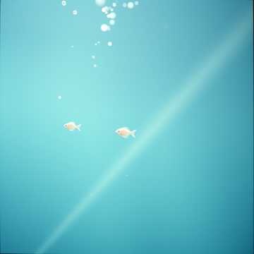 胎心检测专听音乐2