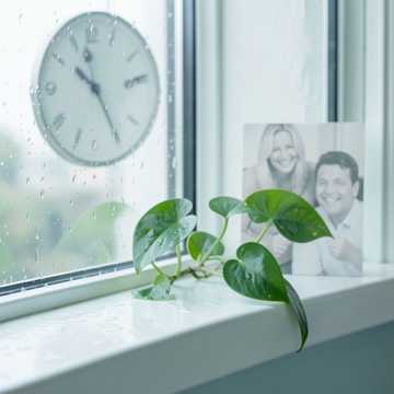 雨声停在一分钟前