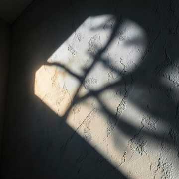 Shadows on the Wall-版本2