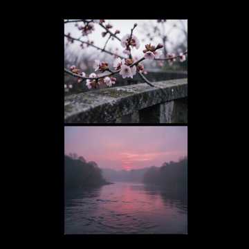 踏莎行-版本2