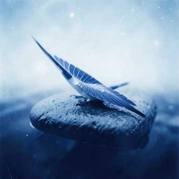 A Letter from the Moon