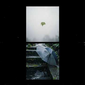 江南一场梧桐雨