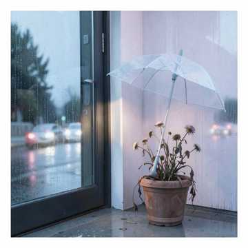 雨停在门口