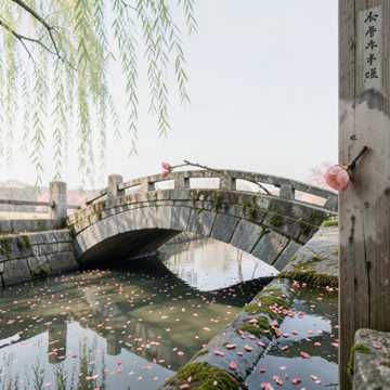 沈园·错莫2