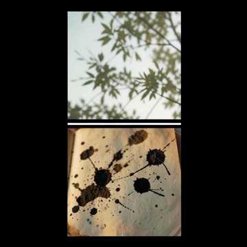 风与少年歌