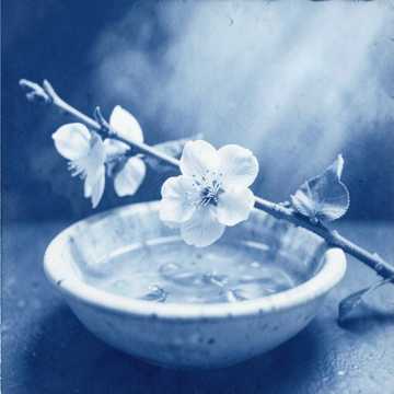 桃花庵-版本2