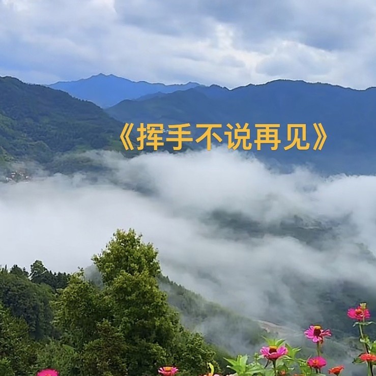 挥手不说再见