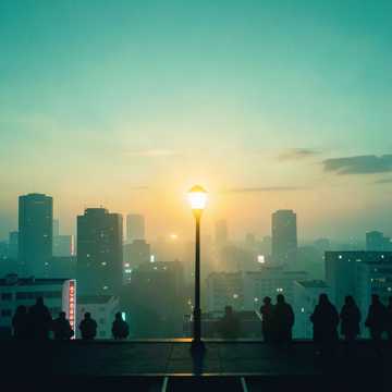 Where the  Light Falls