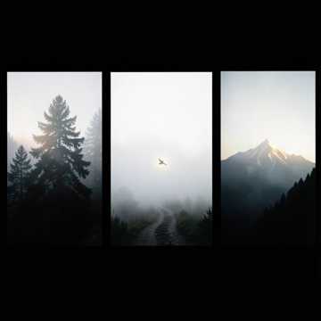 Mist on the Mountain