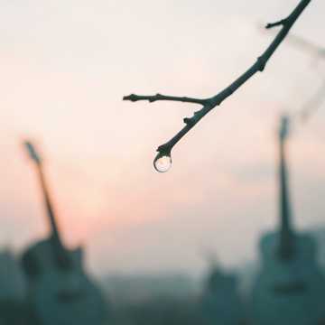 掌心小雨