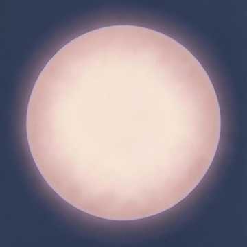 断线随风