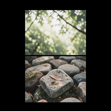 三生的园-版本2