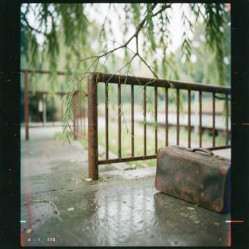 望岗折柳-版本2