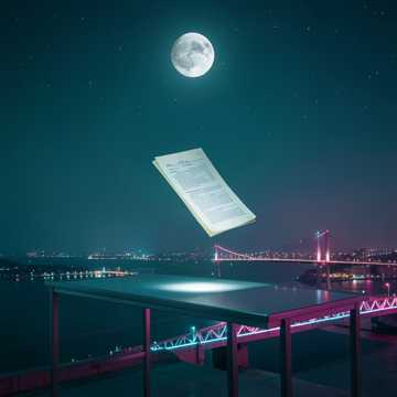 账本飘向天空