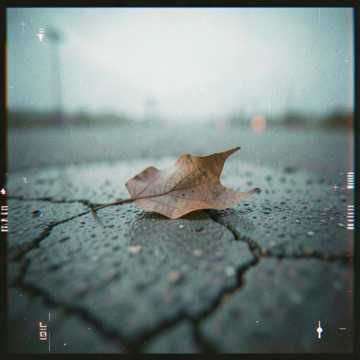 forgive me say goodbye-版本2