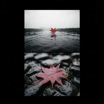 红叶渡-版本2