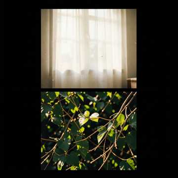 Sunlit Alibi-版本2